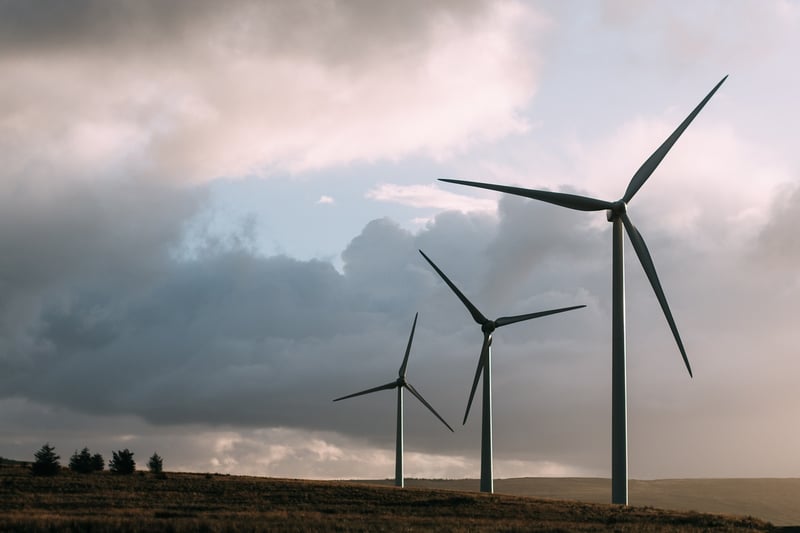 Green Practices Advocate